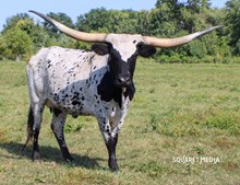 WSR Ogalala