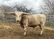 JHCC Lightning Strike