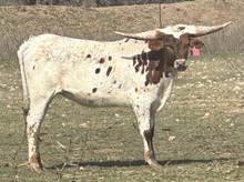 BR Playing with Fire