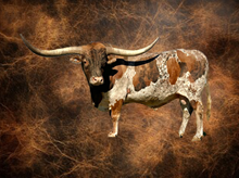 SEMEN-CASH FLOW-4 STRAWS