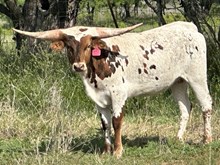 BR Playing with Fire