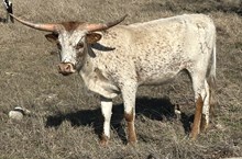 FF Tuff Sparkles 324