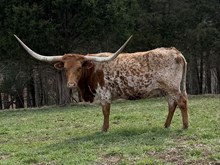 MM Lovin A Tuff Profit