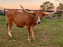 RR Catch’s Shauna Bell